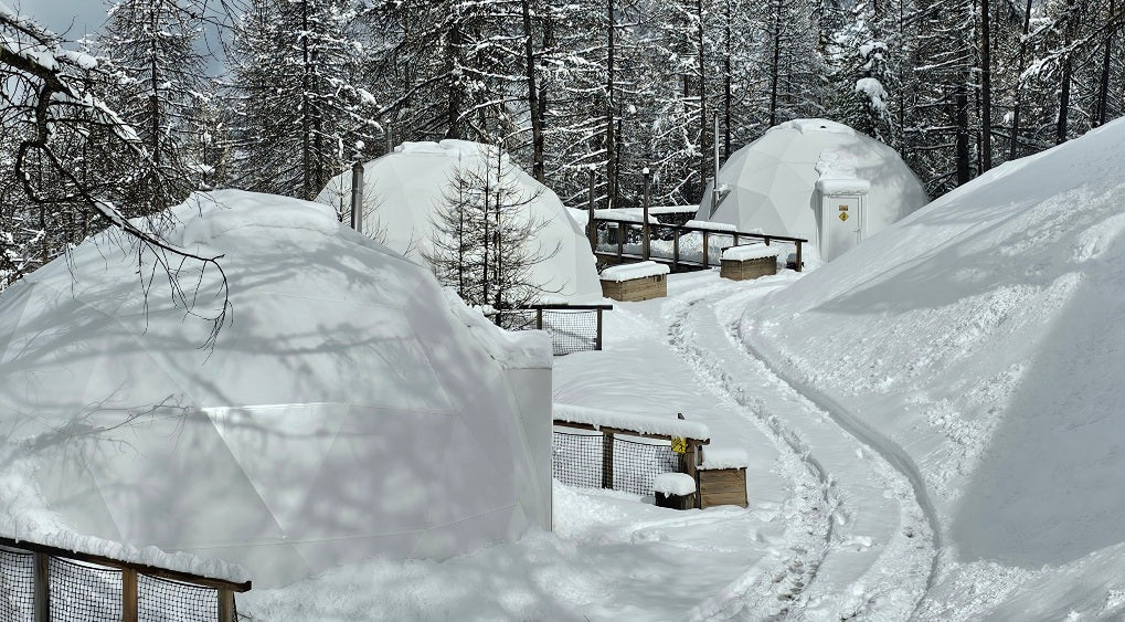 What is the Snow Load in my area?