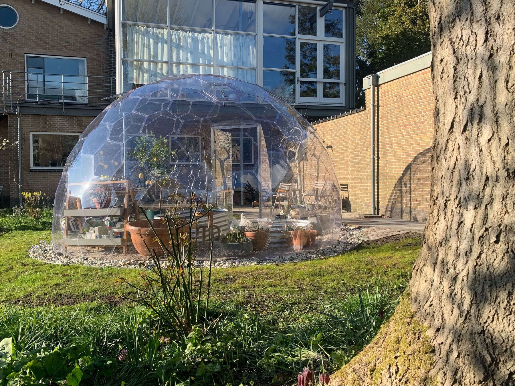 Luxury Geodesic Greenhouse Dome