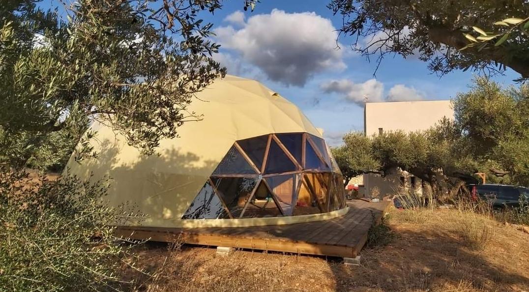 Ø10m STAR/wood/PVC tent Dome