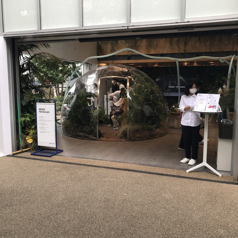 Ø3,6m H2,14m / Ø11ft 9in H7ft Luxury Aura Dome™ with Glass Door